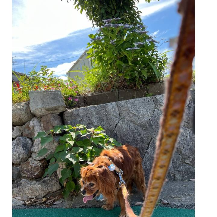 F9b1de27 117d 4e4e 9101 fe8b982d9dea 1718408833052