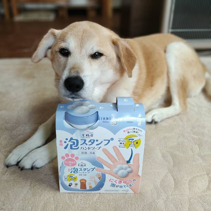 F9b1fea1 21d9 4a87 8d82 76e077197e5e 1617173364159