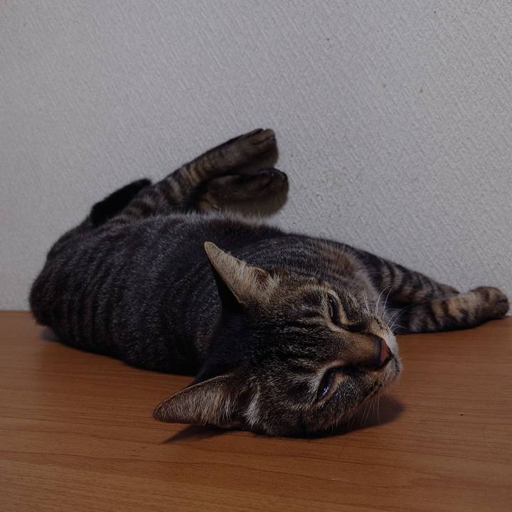 F9b20384 21d9 4e0b 9cd6 d7863ac63f22 1755083988512