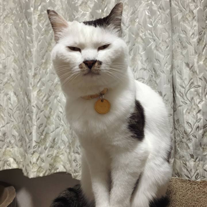 F9b20e23 b52e 44b7 906d d5bbe058713b 1574212818094