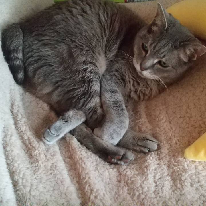 F9b21e64 d14b 4bcb abec da61ad9d5cff 1649559665379