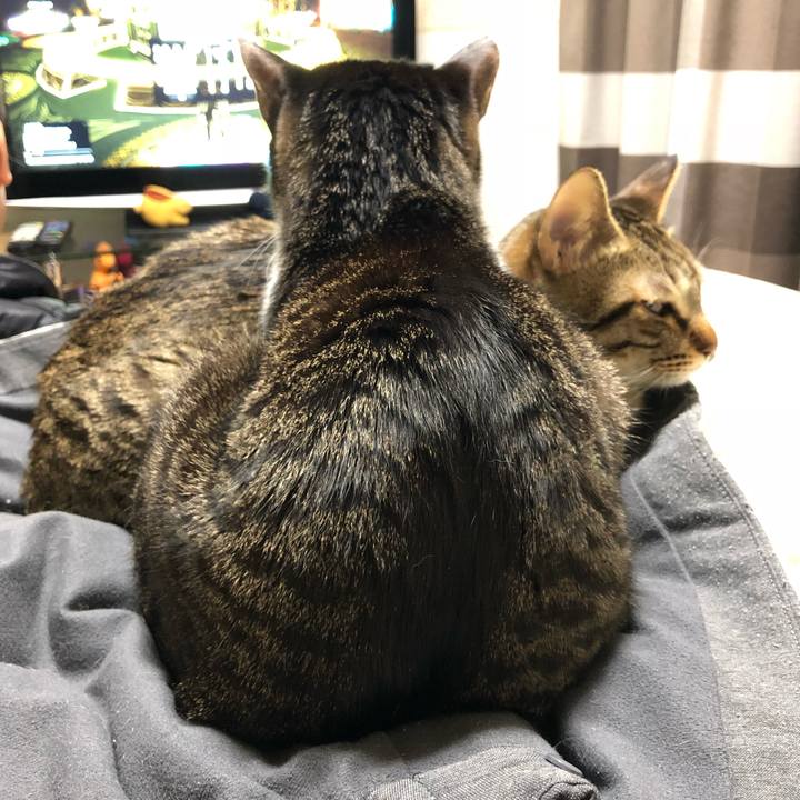 F9b2253b 97f7 4c9d bbe3 f90080f0b943 1516460873214