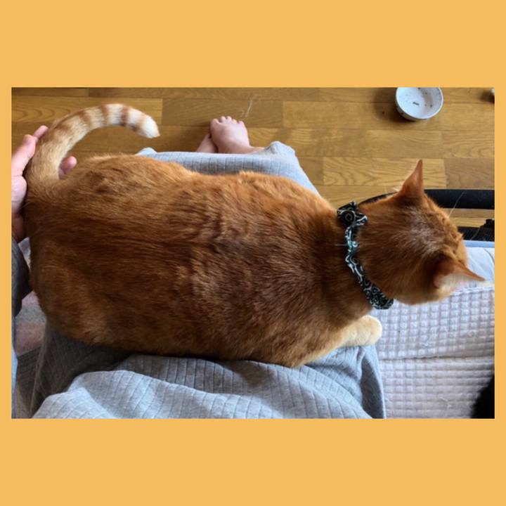 F9b2567d 331c 4aa8 88e6 b991b749071f 1585956929141