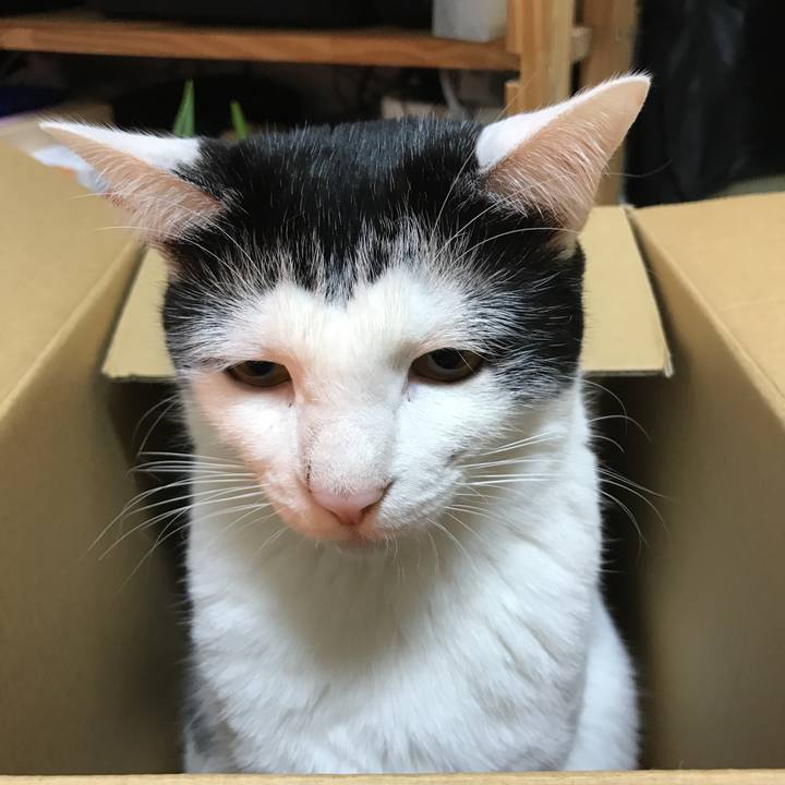 F9b26556 6851 4d24 a41c 75b063f84f70 1518794047859