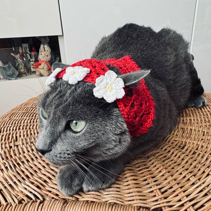 F9b2867d 9209 497f 8949 66cc210498b4 1771920692804