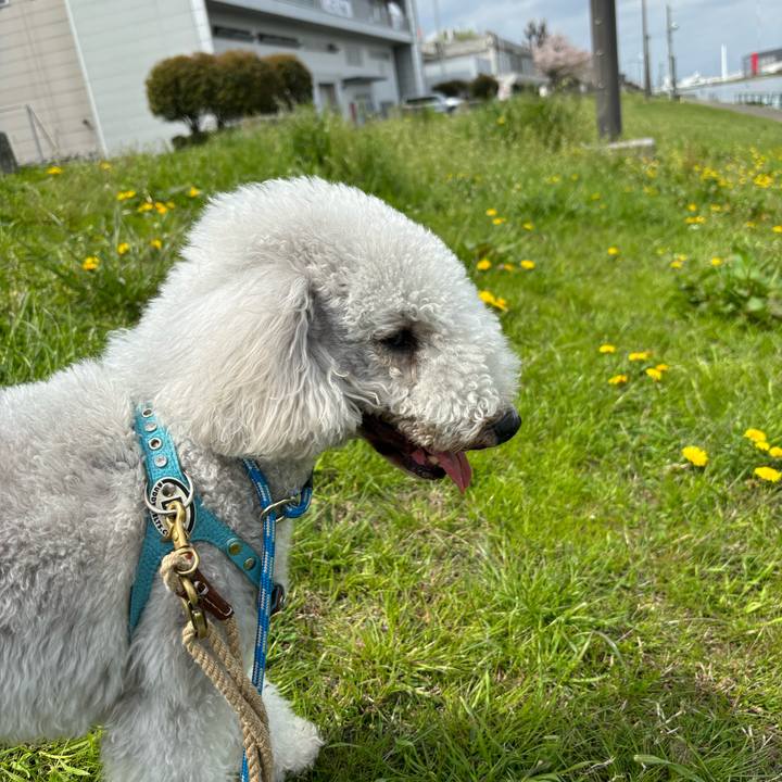 F9b2c604 d7ef 4fb3 a4f0 158fe61d92b1 1729506861272