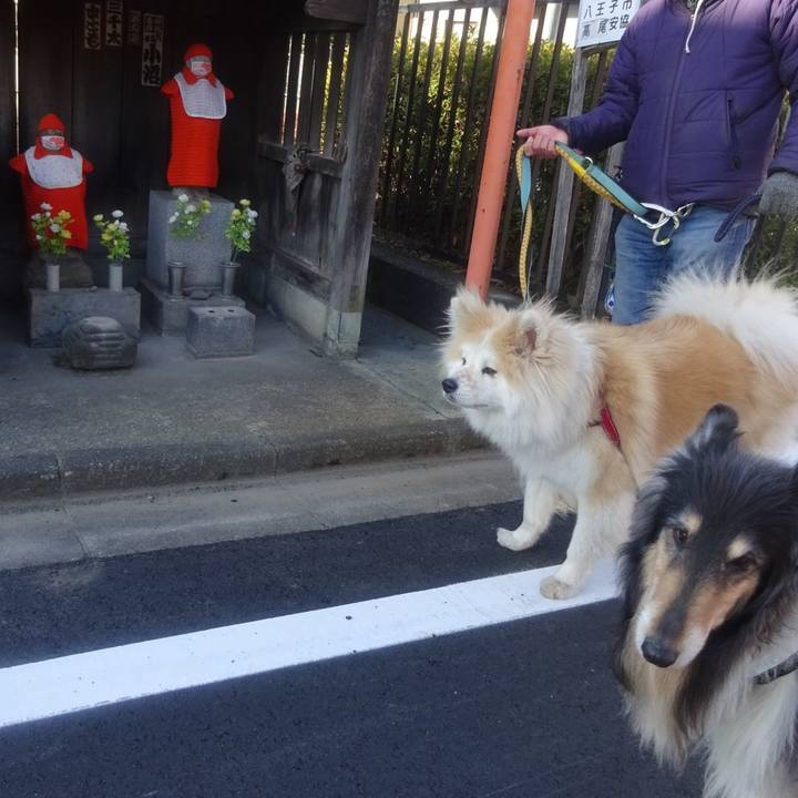 F9b2d93c c33e 4855 b23b 651dd6d84aed 1614511049615