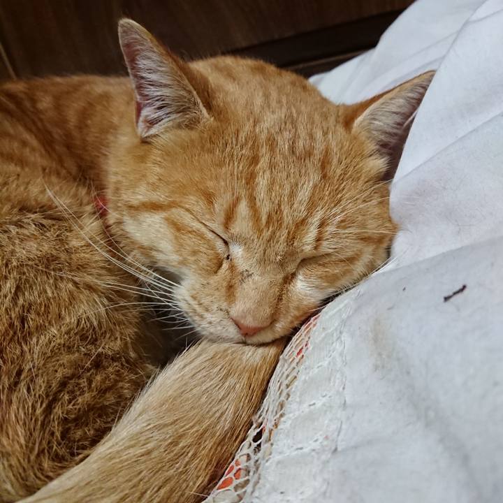 F9b2f2d8 cd8d 4ec1 846c a48bfd9c5b3d 1574602241927