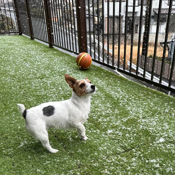 F9b30e52 b795 49dd b8ef fb1e36cabcfc 1770441224898