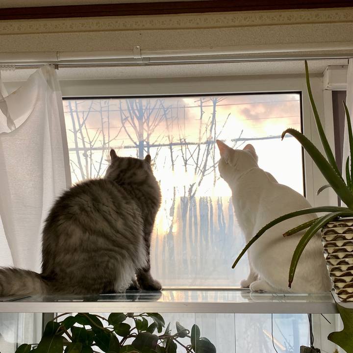 F9b33054 8852 4b0e aef0 b2ecbcd20b03 1709218297744