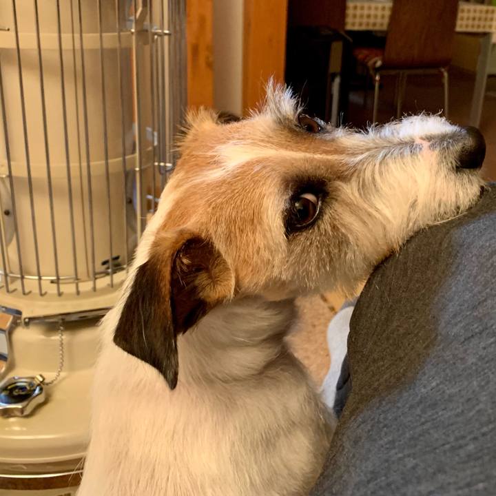 F9b333f8 e33d 4e94 a187 12ecf0f7c38d 1644501237846