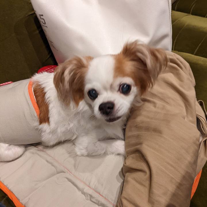 F9b33a6a 75d9 400a 8a8a 9e067884f2b8 1664273429660