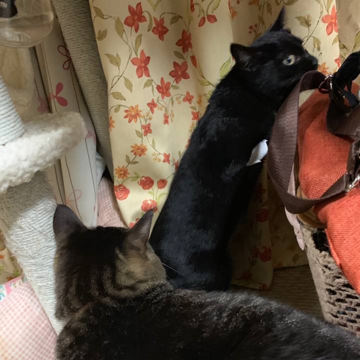 F9b3407f 1e85 4497 9448 493d06a70931 1572705262077