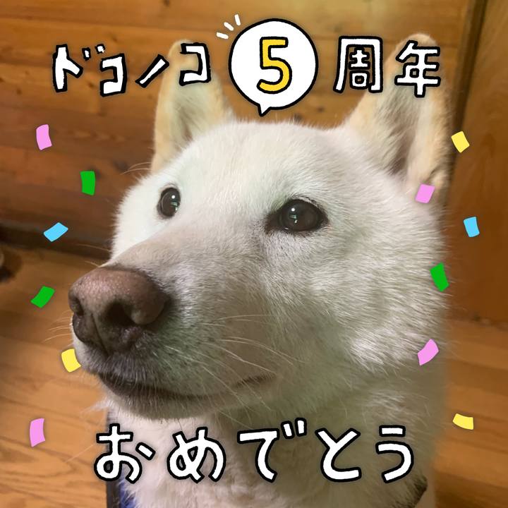 F9b34543 2962 4ec6 b8e9 6e9fc1e174c9 1622932041952