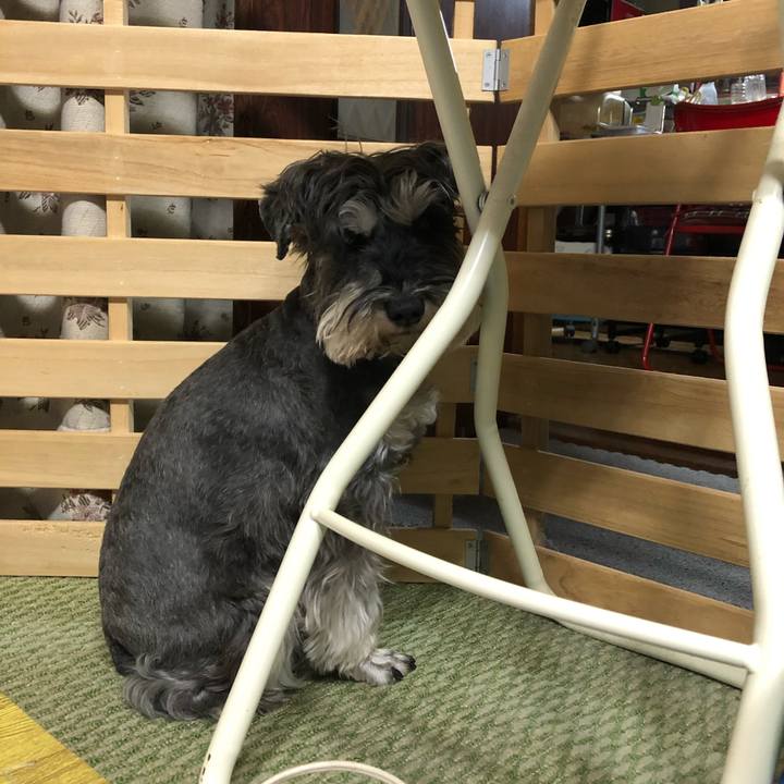 F9b35b72 2f55 4796 b570 8544d0973124 1615040313540