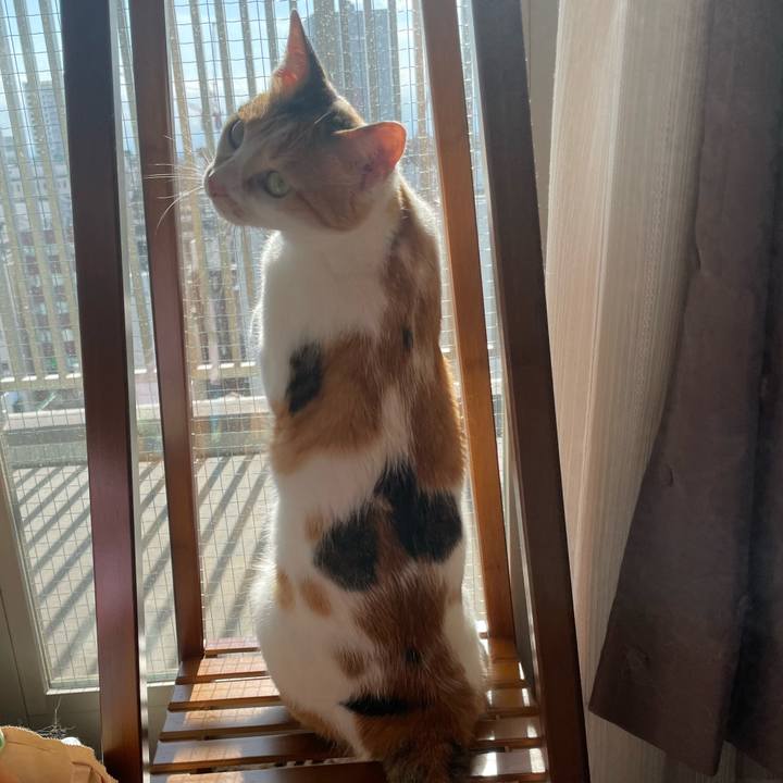 F9b38de5 16dc 4637 9f80 2dac1cdd96e7 1660892108967