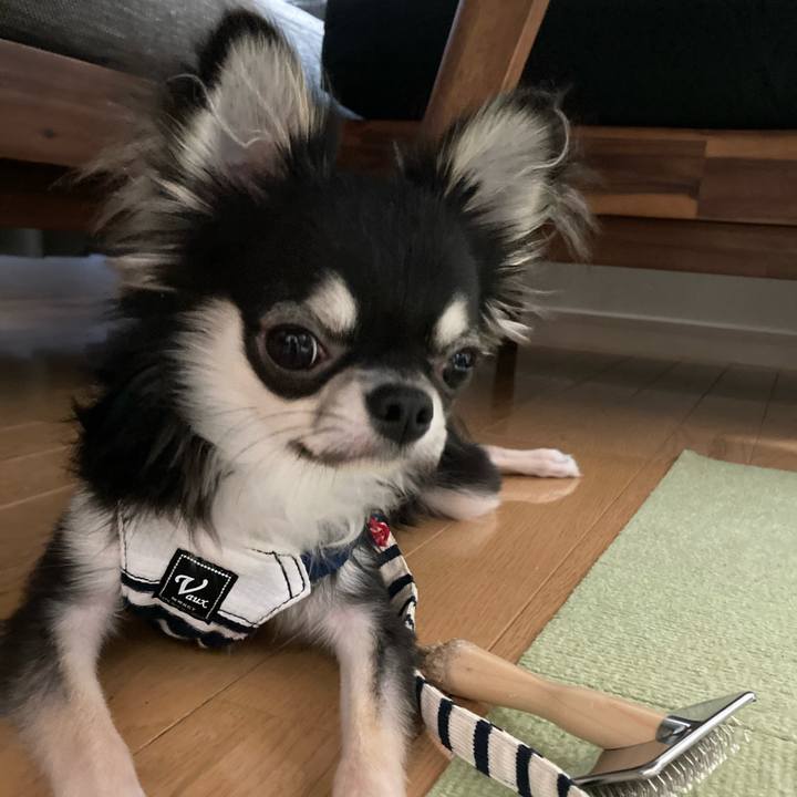 F9b3a43d 4d0c 4672 a2bf 6a9f5f0bd7f3 1603022925091