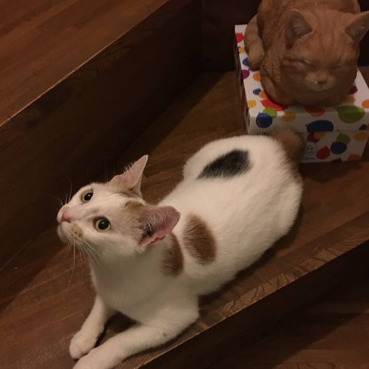 F9b3c1c1 9ec2 4b55 8f65 10c9bf54ce78 1567334462557