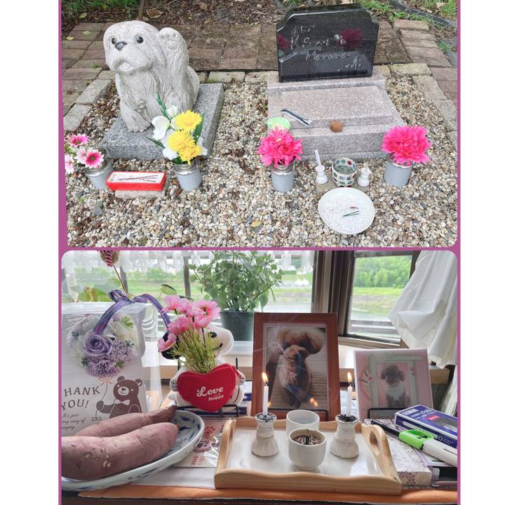 F9b3d050 7af6 4d0f bf9d 93e43ac75372 1691989564587