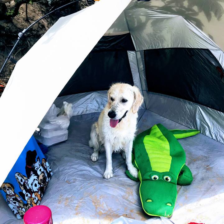 F9b42d9a 74e8 4104 9010 6cf633b46b5b 1528075446267