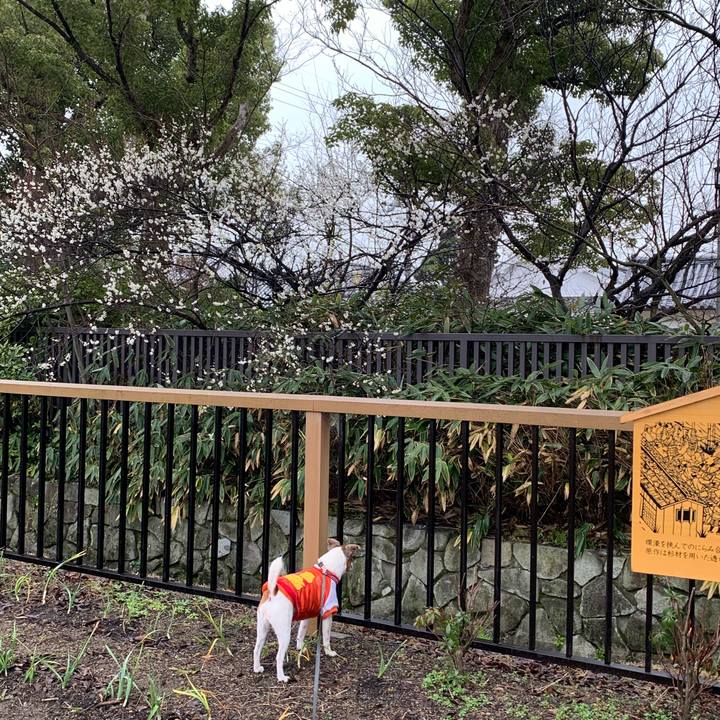 F9b44ce9 2373 4808 bdbb 3d48e96cd7a7 1581767106679