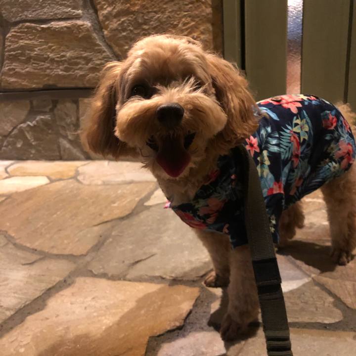 F9b464c5 7fe3 4e85 8b5d f349884a0d4f 1658663203308