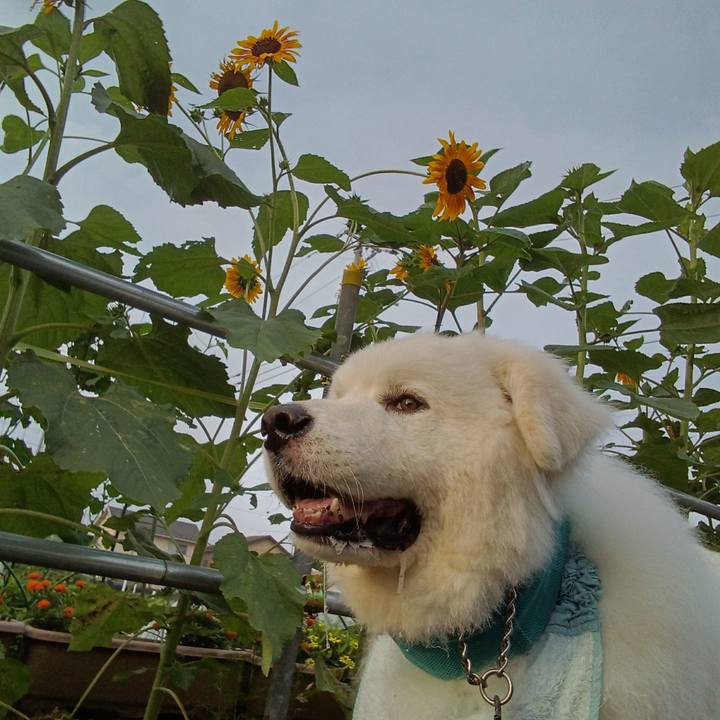 F9b48c3b de0c 4ba8 8ad6 5d25c87f7a34 1721365975743