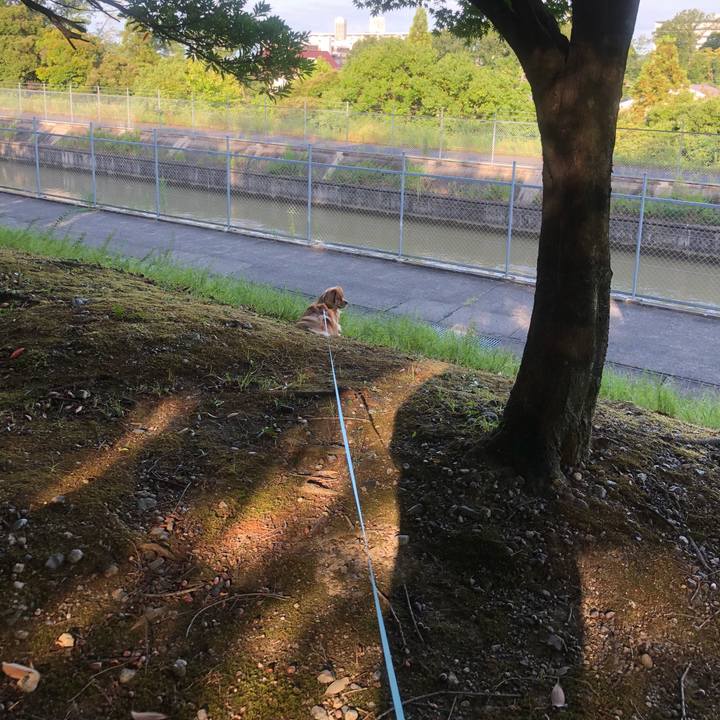 F9b48e60 841d 4524 b265 6b49bf063e9e 1534632235142