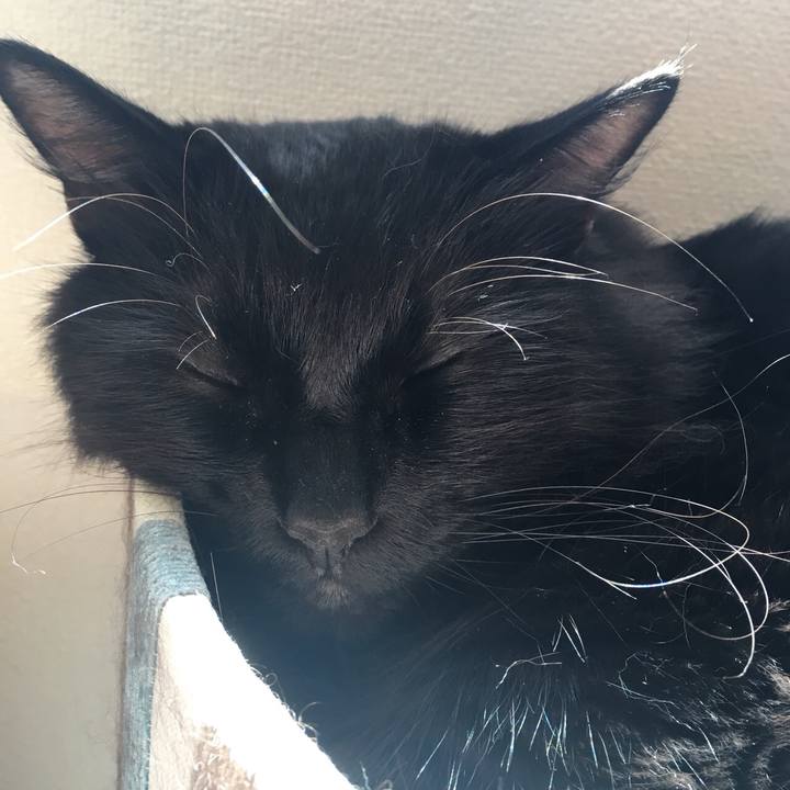 F9b4a6ce 7c65 46a3 b65d 3eced2d98b64 1562804456565