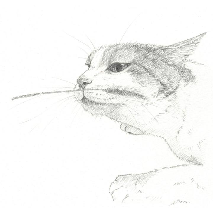 F9b4ce11 7200 4f9b 81bd f1c58e5ec99e 1549719622932