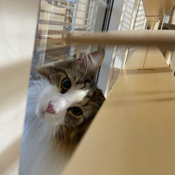 F9b50633 2d26 41b8 b80b c9585e7aae16 1667769302840