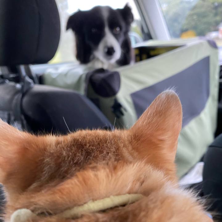 F9b538d3 62c0 46d9 9b44 77c19f488c5d 1670208974406