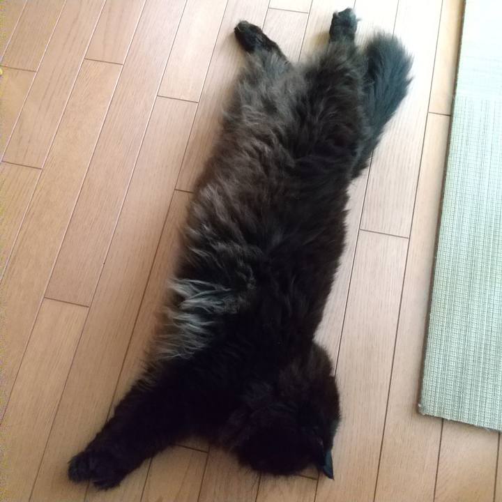 F9b54e17 3006 45de 9623 8f39c733a741 1656328912104