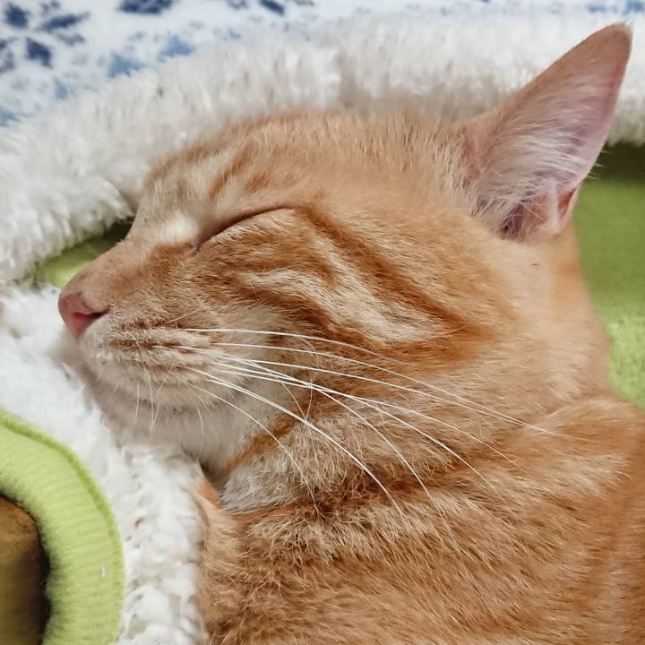 F9b5ce99 7728 4ffe 8f34 9254bf9bad43 1652321872295