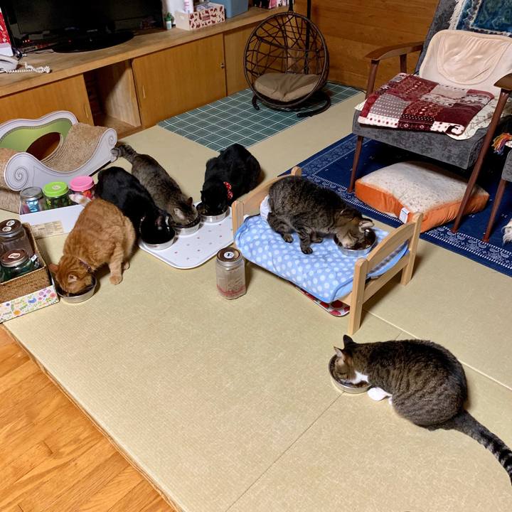 F9b5e538 7781 4349 9d92 0fd3c6b4674e 1563109335776