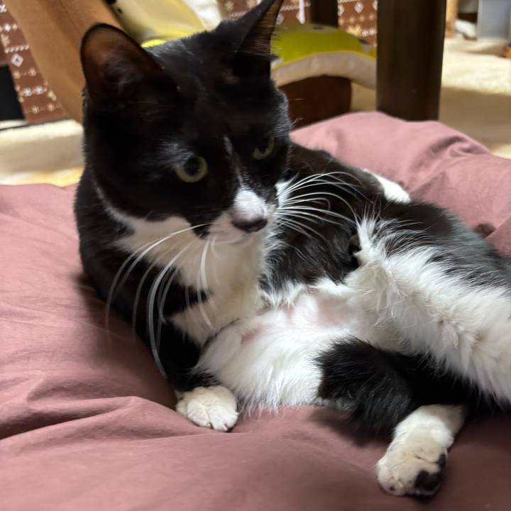 F9b5e6c1 b190 4f05 b467 2d7575c39871 1771681964857