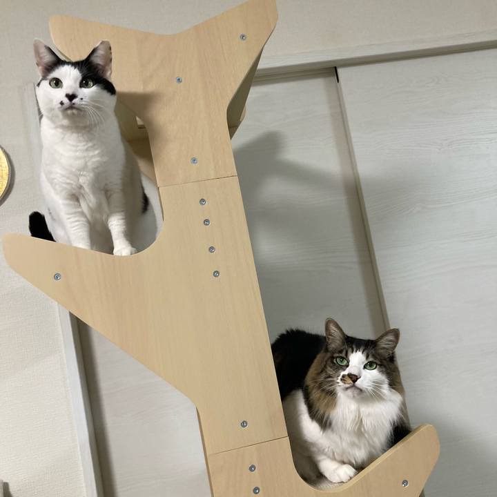 F9b5fc4a c430 4b6f ba6d cb8b172bb206 1767212824489