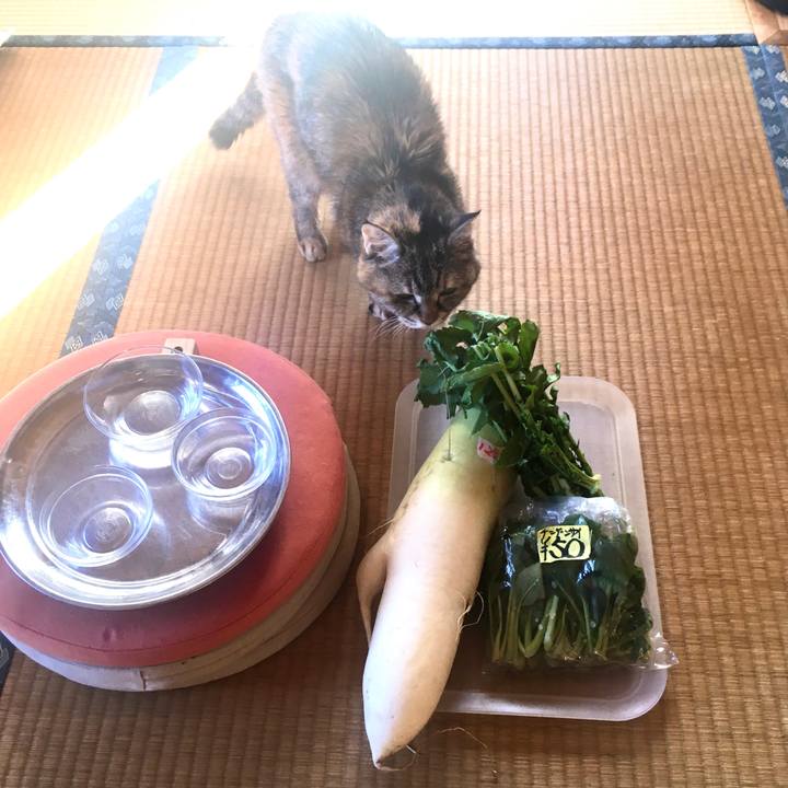 F9b6159a b28e 4ce2 8427 f35c2b62d06a 1612315347298