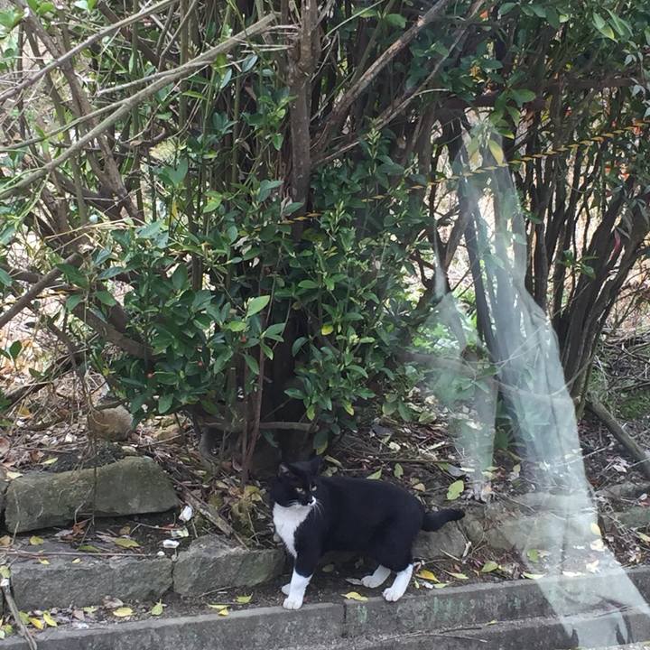 F9b62187 a453 46e1 97ec 2ac1dd96533c 1521957209261