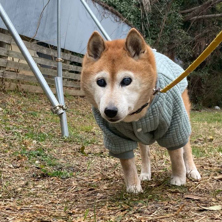 F9b63aef 6bfc 4fd1 a677 5b83e65810ae 1770855541791