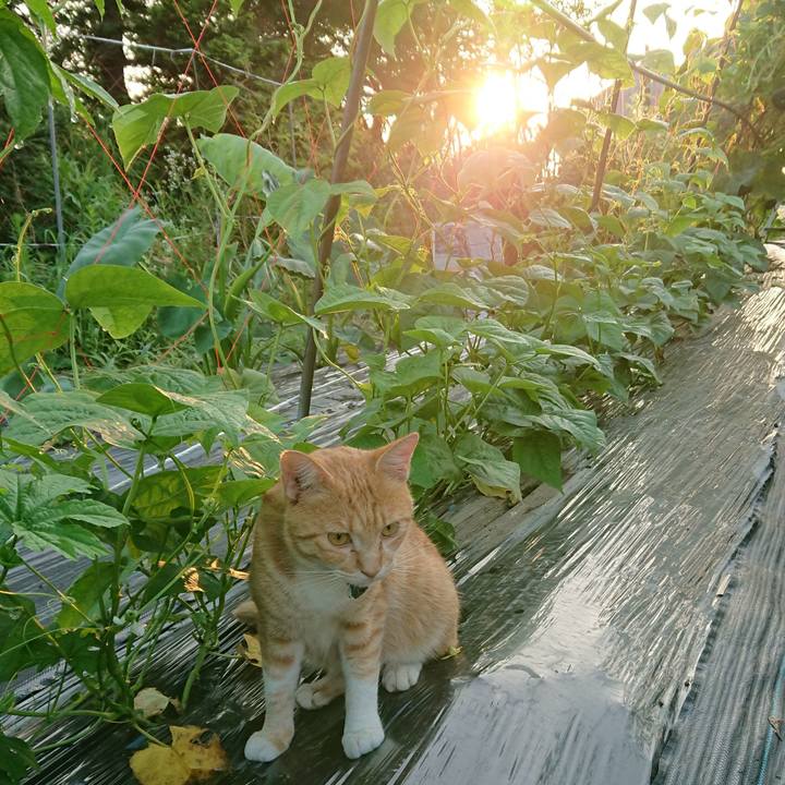 F9b66d9e c1b6 4489 b6ef 51e24a285fdc 1564345807871