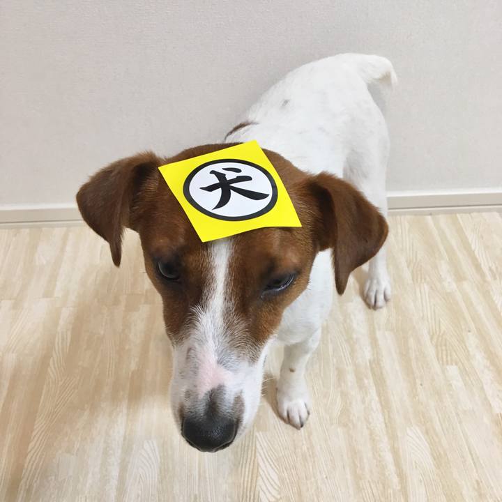 F9b68a89 1156 43be a096 20fdc8093e2a 1523394327431