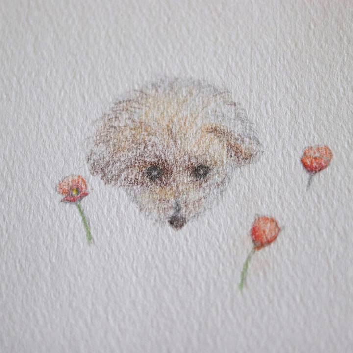 F9b69195 435c 4759 b54c deb36ef577f3 1588951518626