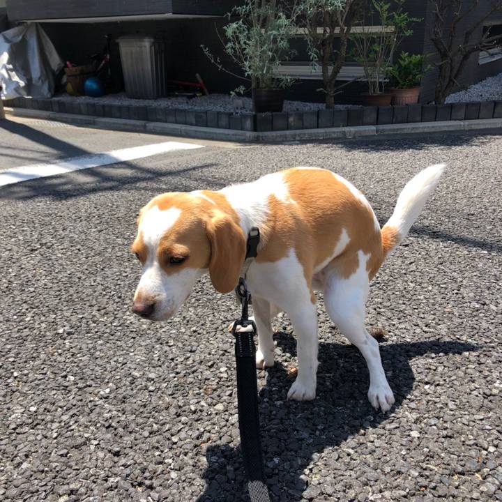 F9b69277 d1fb 460f 8582 c21e4856e8ce 1558602245642