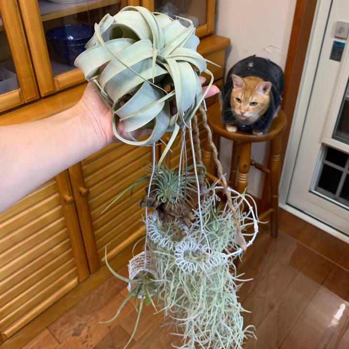 F9b6a152 8b72 4976 a695 52ff2eadb99f 1652958014658