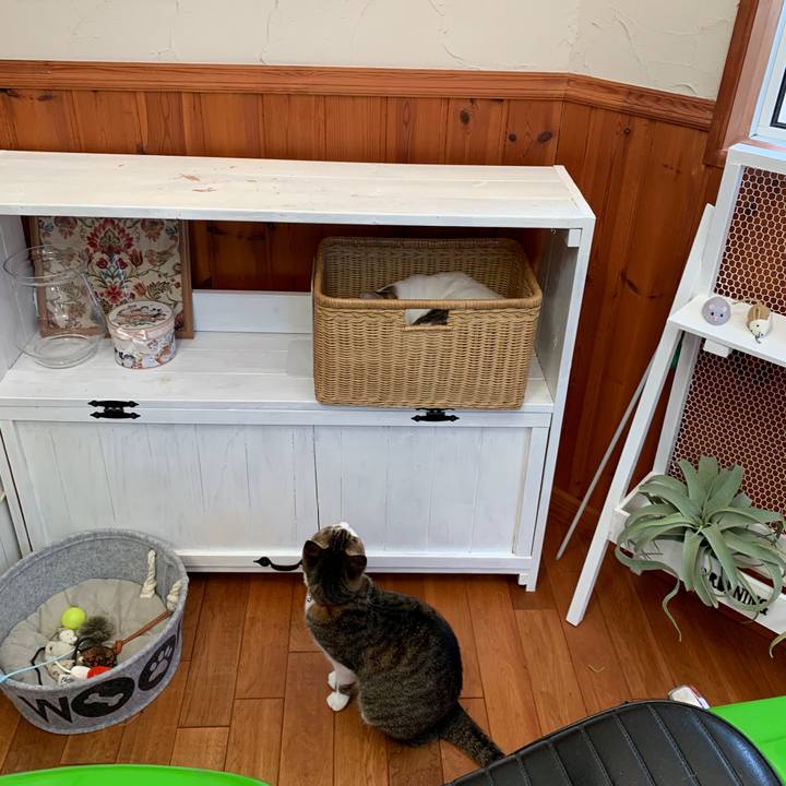 F9b6cb78 dfe5 4be6 b1a6 cf8fd8b9318d 1667085494828