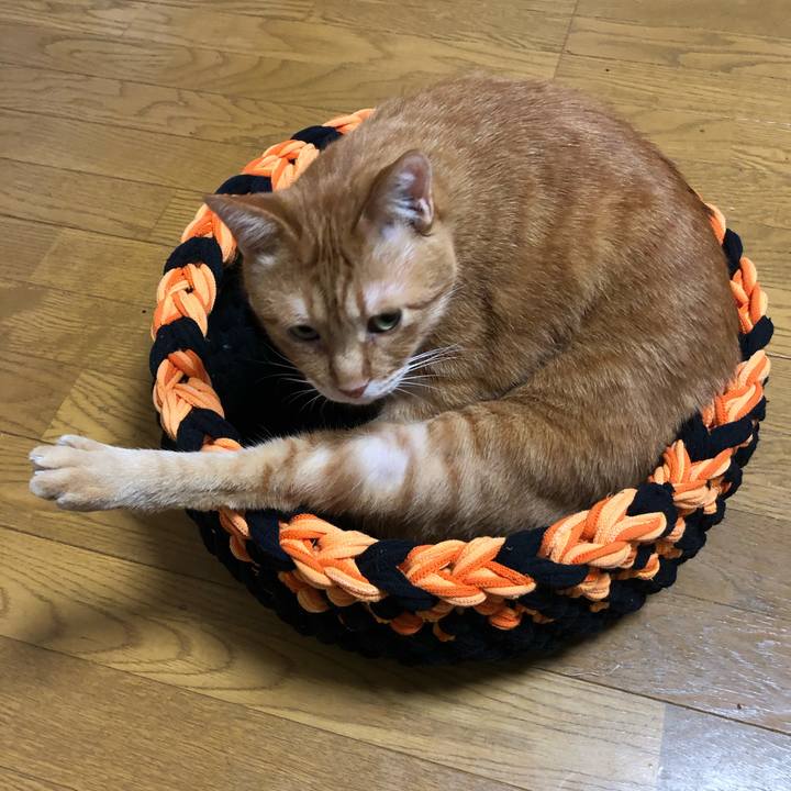 F9b7266c b6d1 487e a3b8 345451061c4f 1639232089779