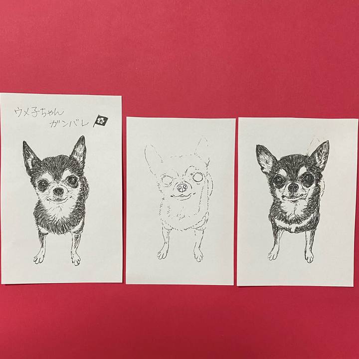 F9b7548c a28d 42a1 9d82 8da5a982748c 1627801587684