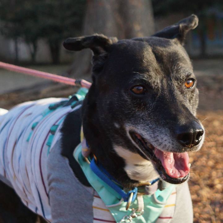 F9b756c1 ad50 45b8 b252 a4fef1615e10 1770337159428