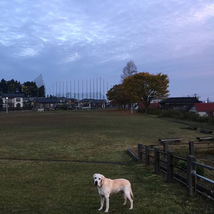 F9b76d44 da8a 42fa b134 e6230e5ef395 1542020834642